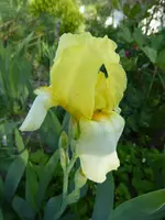 P1010039.webp