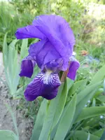 P1010054.webp