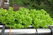 k-IMG_5179.webp