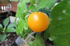 k-IMG_5182.webp