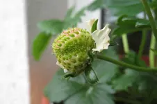 k-IMG_5194.webp