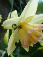 P1010104.webp