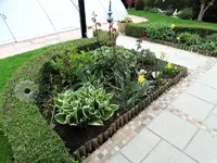 DSC09560.webp
