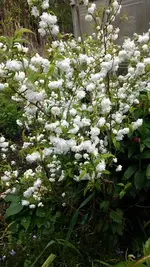20170505_113351.webp