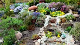20170426_162259.jpg