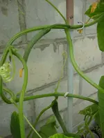 DSC00166.webp