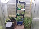 20170506_100532.jpg