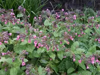 20170506_154616.webp