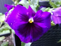 2017-05-06 18.12.19.webp