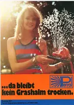 Perrot 1977.webp