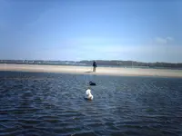 028.webp
