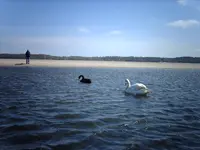 031.webp