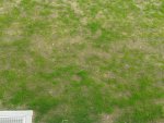 20170507_081227.jpg