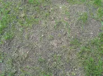 20170507_081330.webp