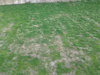 20170507_081405.webp