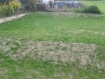 20170507_081236.jpg 20170507_081236.jpg