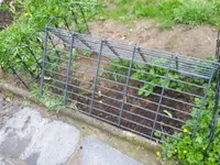 20170507_103829.webp