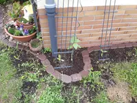 20170507_103819.webp