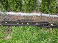 20170507_103810.webp