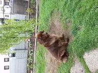 20170507_132510.webp