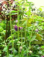 IMG_7704.webp