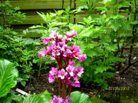 IMG_7705.webp