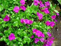 IMG_7706.webp