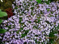 IMG_7712.webp