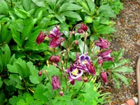 IMG_7714.webp