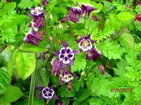 IMG_7717.webp