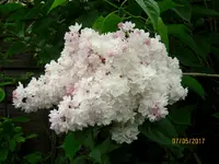IMG_7720.webp