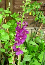 IMG_7721.webp