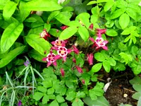 IMG_7728.webp