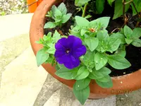 IMG_7736.webp