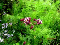 IMG_7722.webp