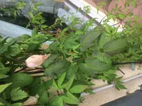 Foto 07.05.17, 14 16 20.webp