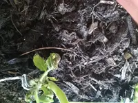 IMG_20170507_155816.webp