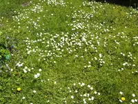 BILD6404.webp