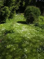 BILD6414.webp