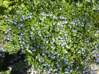 BILD6410.webp