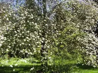 BILD6407.webp