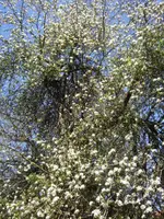 BILD6409.webp