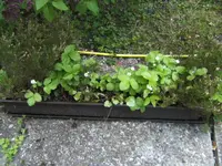 BILD6402.webp