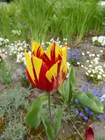 P1050418.webp