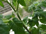 IMG_20170507_101048.jpg