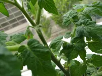 IMG_20170507_101048.webp