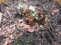 002_1067x800.webp