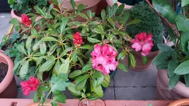 20170507_191010.2.webp