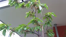 20170507_191047.2.webp