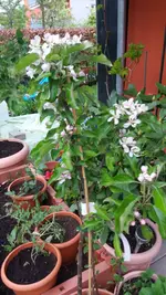 20170507_191019.2.webp
